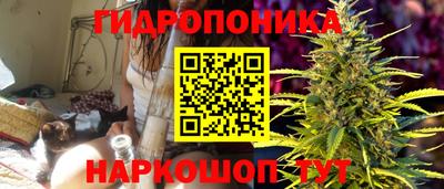 прущие крисы Кимры
