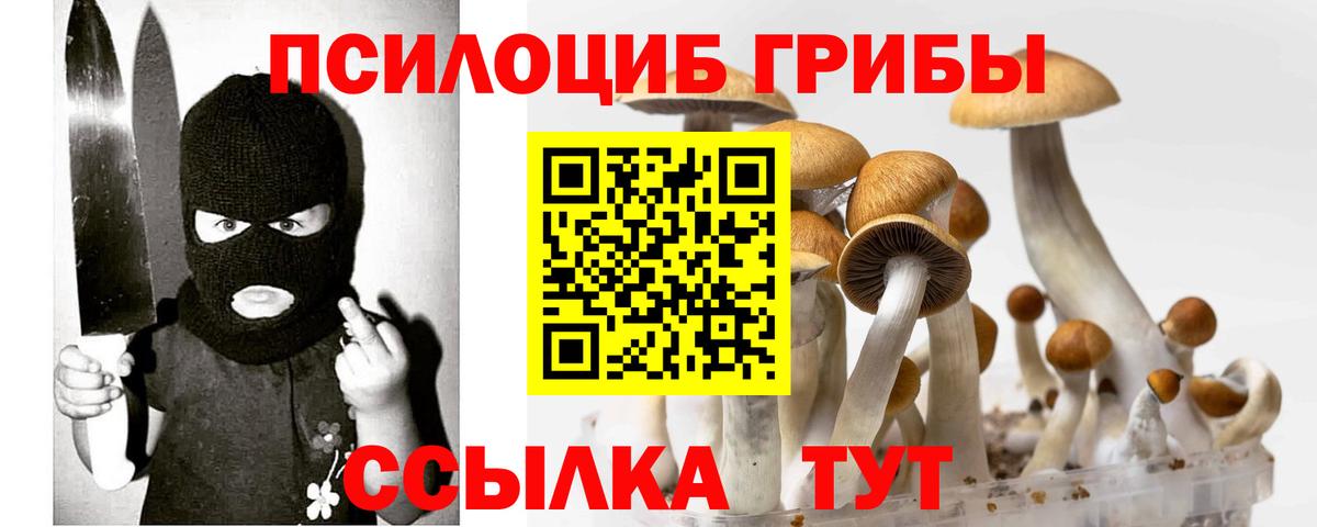Котлас  Галлюциногенные грибы мицелий  Вход с VPN  Псилоцибиновые грибы GOLDEN TEACHER 